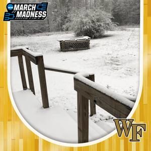 Meet your Posher, Millie